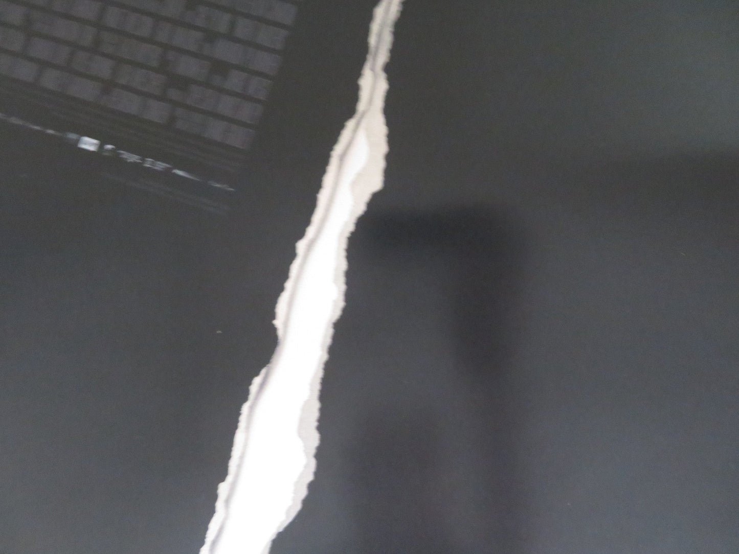 NIGHT RAIDERS - B US ONE SHEET ROLLED POSTER ELLE - MAIJA TAILFEATHERS 2021 Rendezvous Cinema Movie posters