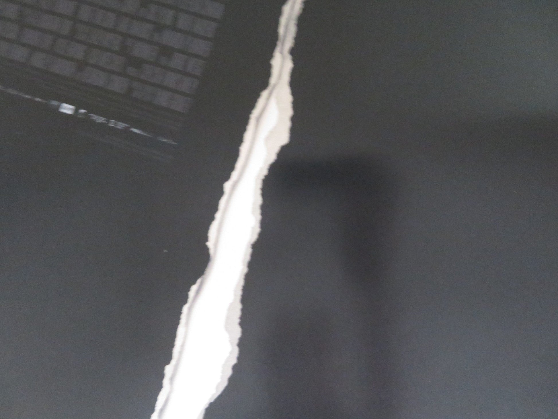 NIGHT RAIDERS - B US ONE SHEET ROLLED POSTER ELLE - MAIJA TAILFEATHERS 2021 Rendezvous Cinema Movie posters