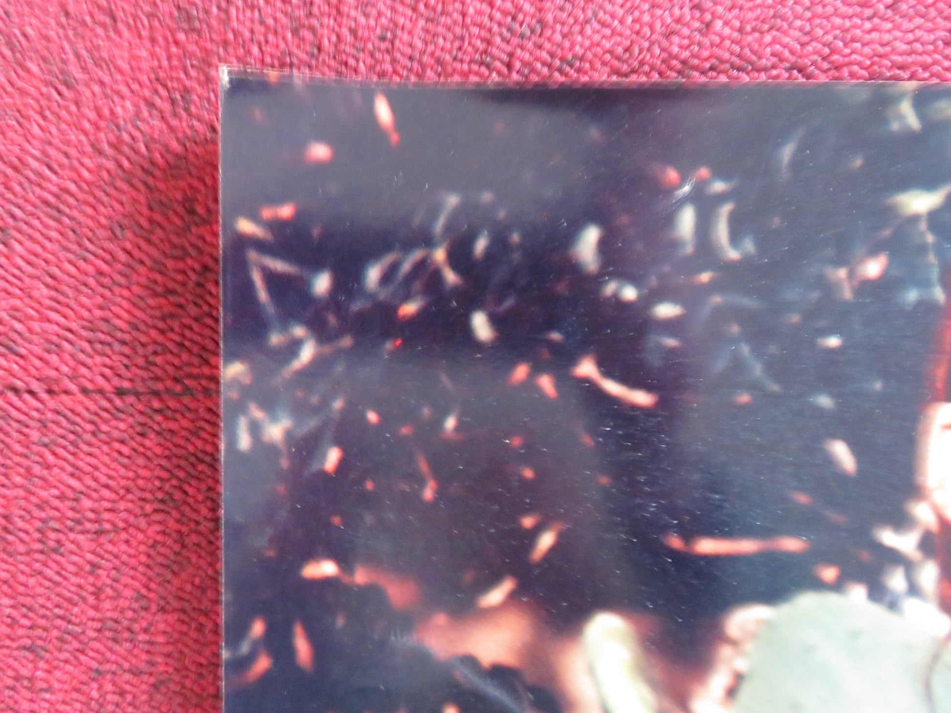 NIGHTMARE IN THE SUN - B ITALIAN FOTOBUSTA POSTER URSULA ANDRESS JOHN DEREK 1965 Rendezvous Cinema Movie posters