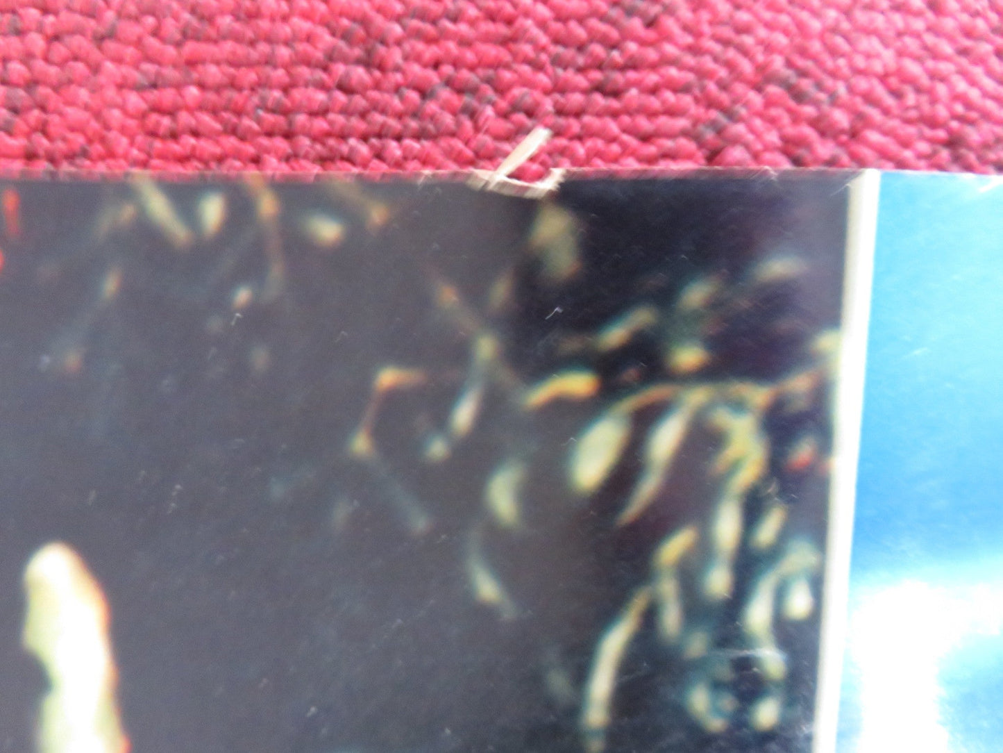 NIGHTMARE IN THE SUN - B ITALIAN FOTOBUSTA POSTER URSULA ANDRESS JOHN DEREK 1965 Rendezvous Cinema Movie posters