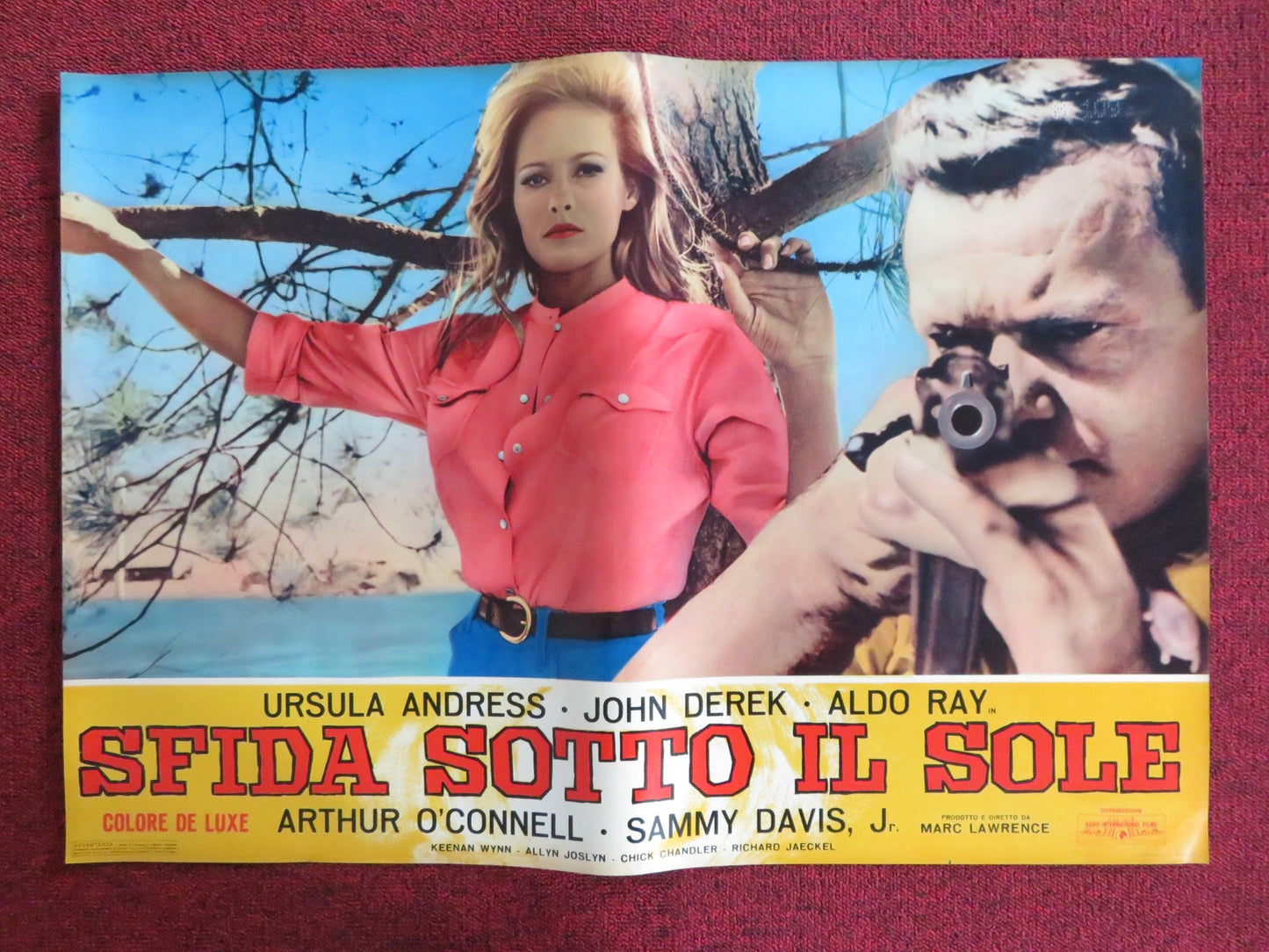 NIGHTMARE IN THE SUN - C ITALIAN FOTOBUSTA POSTER URSULA ANDRESS JOHN DEREK 1965 Rendezvous Cinema Movie posters