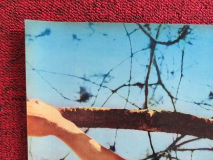 NIGHTMARE IN THE SUN - C ITALIAN FOTOBUSTA POSTER URSULA ANDRESS JOHN DEREK 1965 Rendezvous Cinema Movie posters