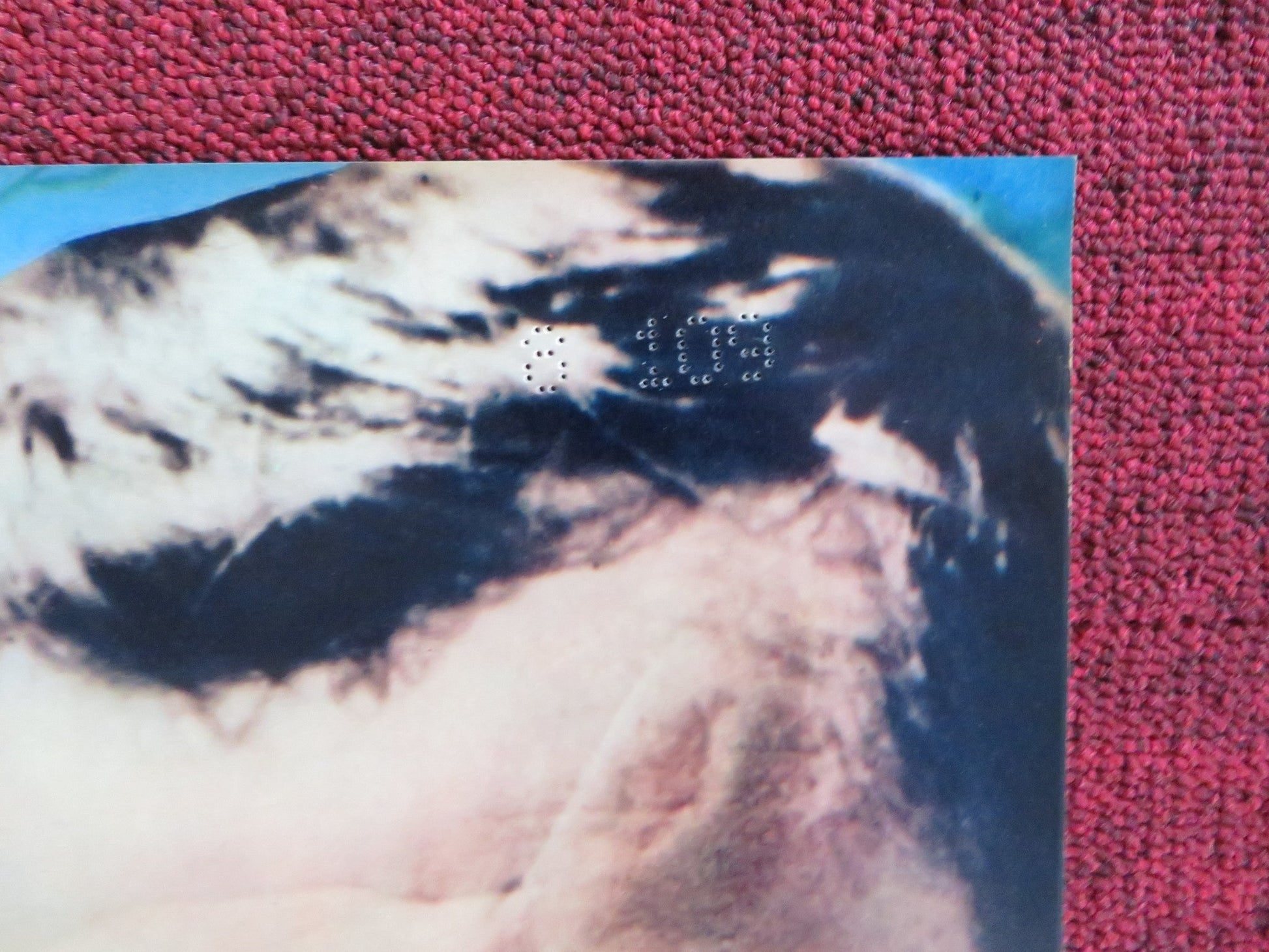 NIGHTMARE IN THE SUN - C ITALIAN FOTOBUSTA POSTER URSULA ANDRESS JOHN DEREK 1965 Rendezvous Cinema Movie posters