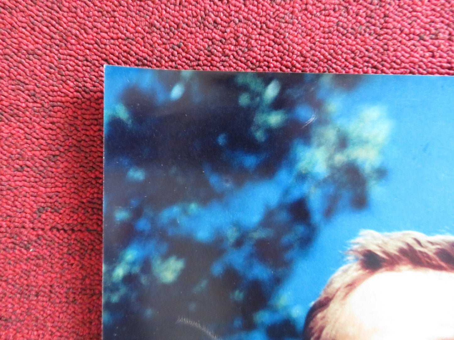 NIGHTMARE IN THE SUN - D ITALIAN FOTOBUSTA POSTER URSULA ANDRESS JOHN DEREK 1965 Rendezvous Cinema Movie posters