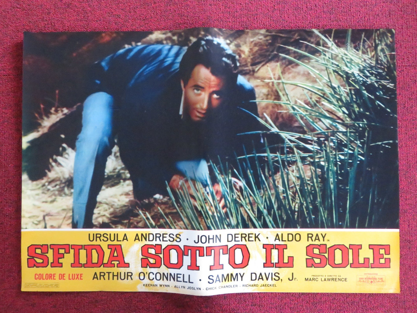 NIGHTMARE IN THE SUN - E ITALIAN FOTOBUSTA POSTER URSULA ANDRESS JOHN DEREK 1965 Rendezvous Cinema Movie posters