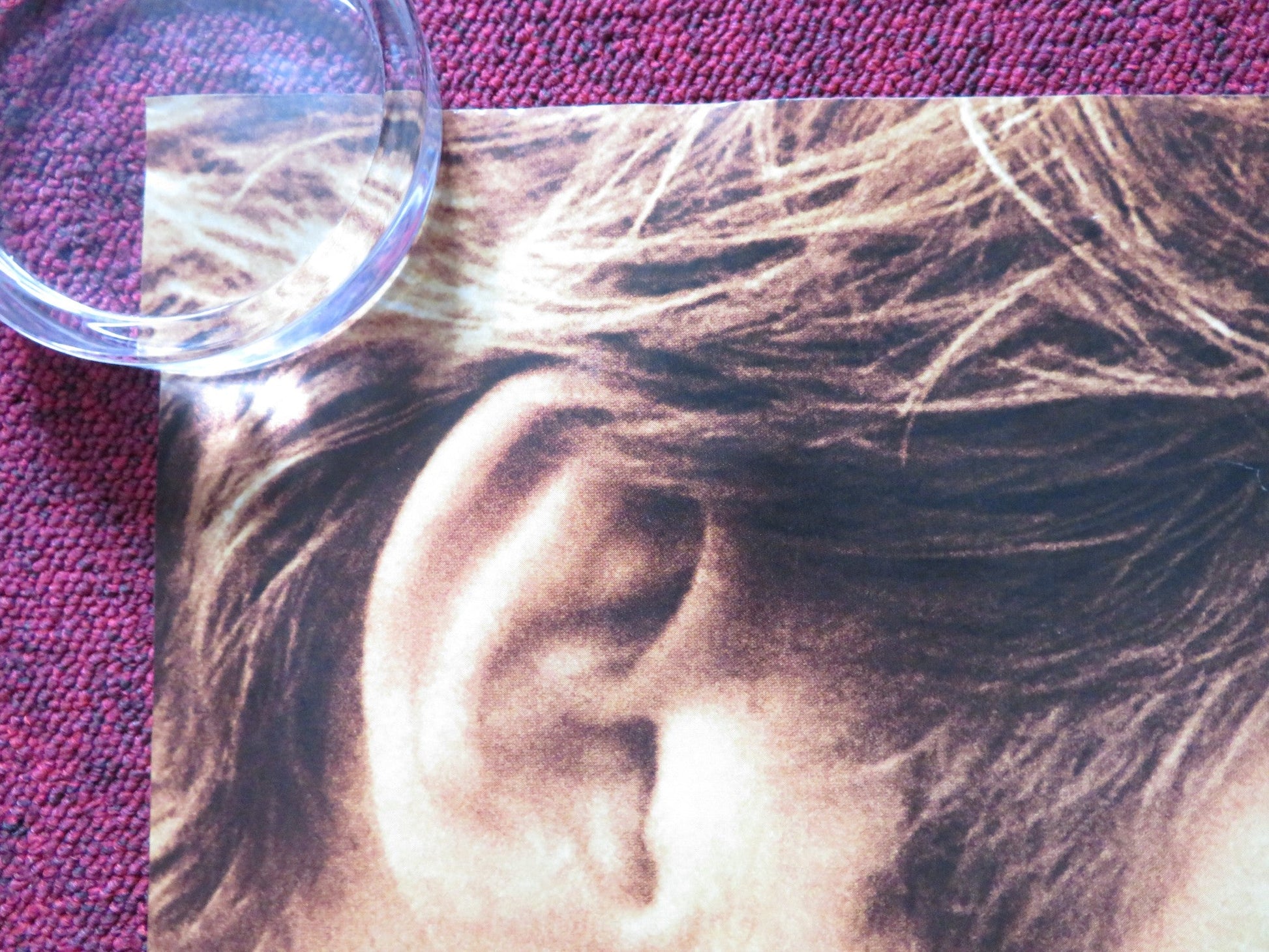 NIGHTS IN RODANTHE UK QUAD ROLLED POSTER RICHARD GERE DIANE LANE 2008 Rendezvous Cinema Movie posters