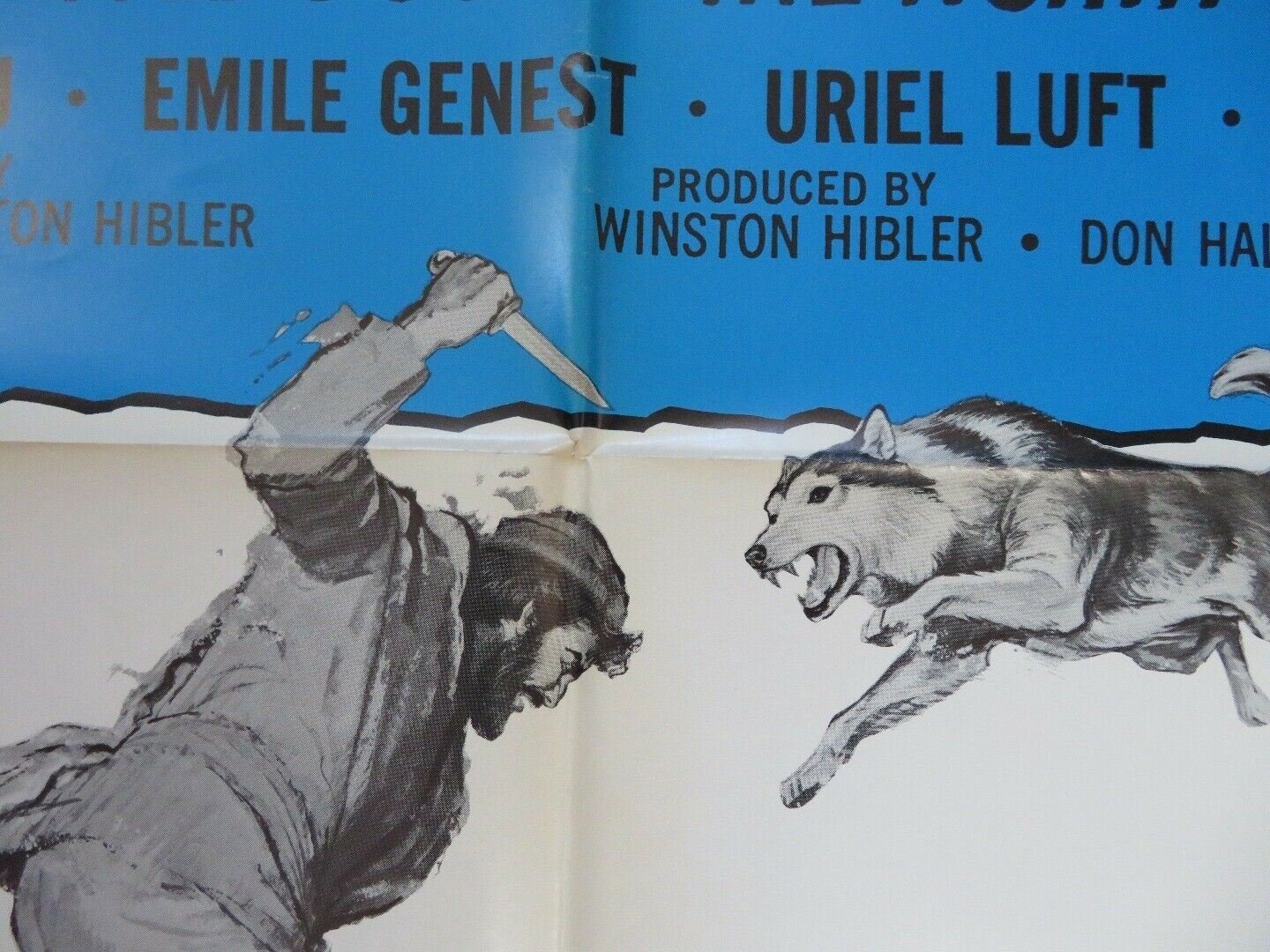 NIKKI, WILD DOG OF THE NORTH 1961/ R72 US ONE SHEET POSTER DISNEY Movie posters