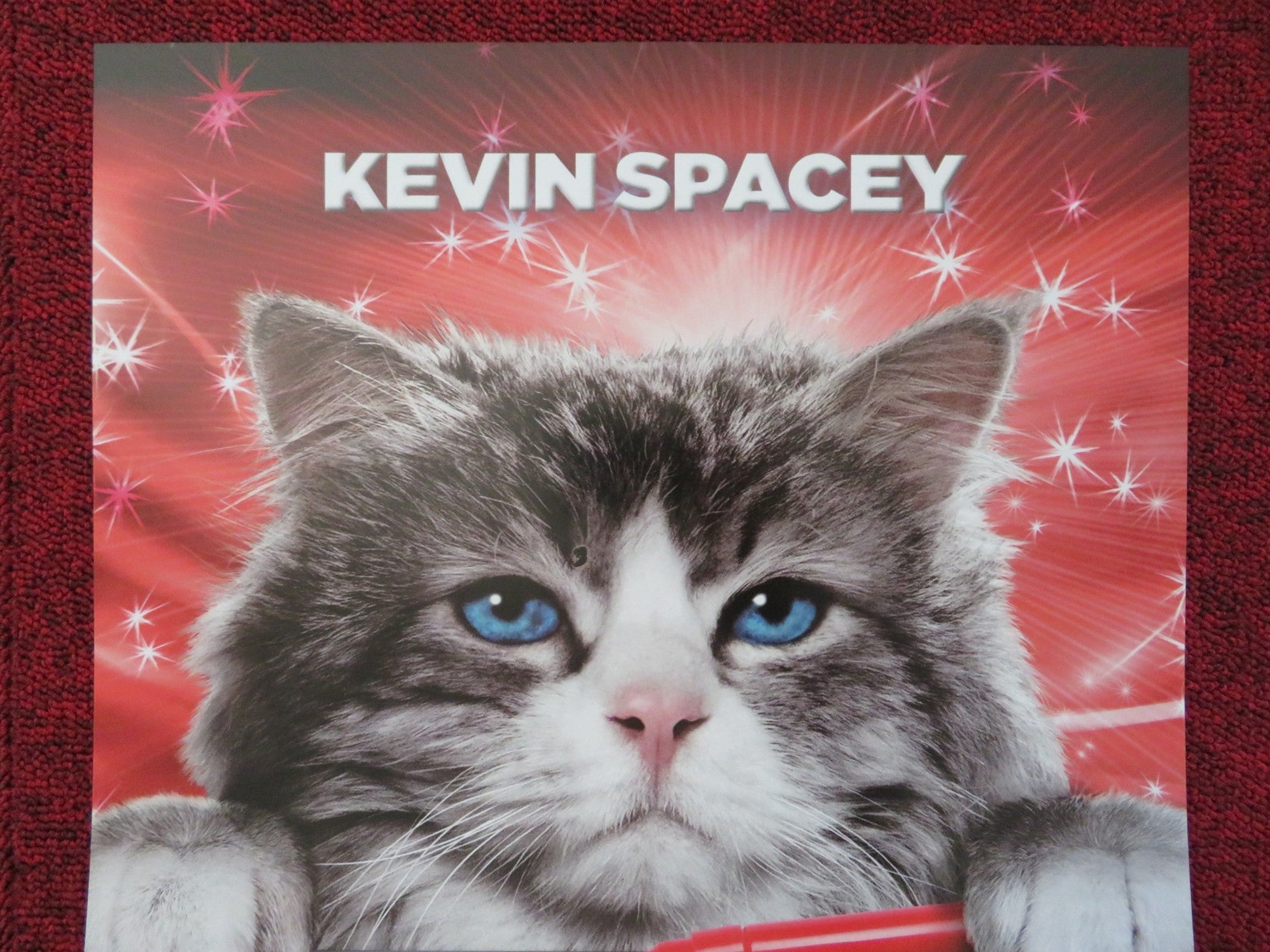 NINE LIVES ITALIAN LOCANDINA POSTER JENNIFER GARNER ROBBIE AMELL 2016 Rendezvous Cinema Movie posters