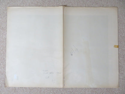 NO BLADE OF GRASS ITALIAN 2 FOGLIO POSTER NIGEL DAVENPORT JEAN WALLACE 1970 Rendezvous Cinema Movie posters