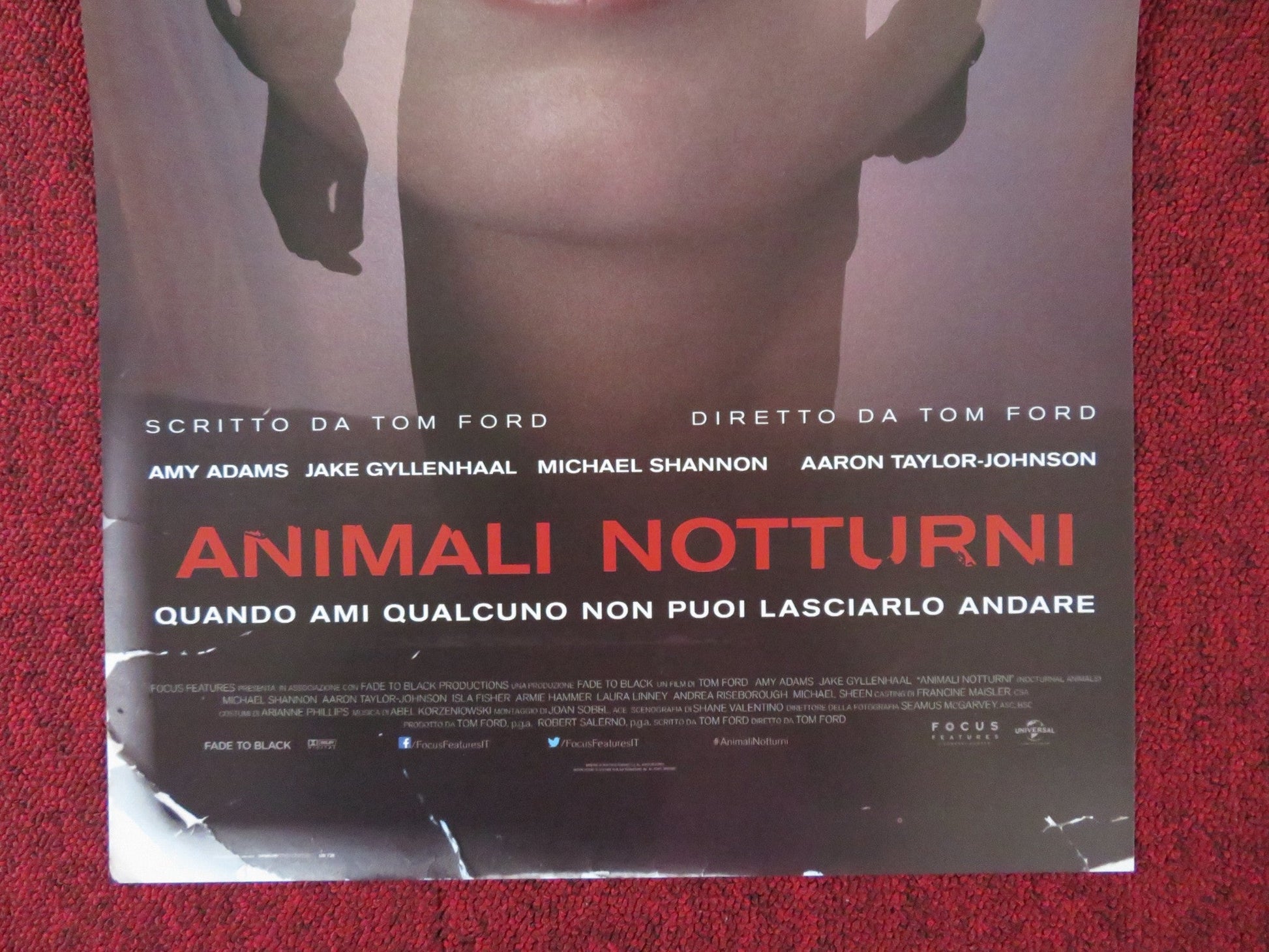 NOCTURNAL ANIMALS ITALIAN LOCANDINA POSTER AMY ADAMS JAKE GYLLENHAAL 2016 Rendezvous Cinema Movie posters