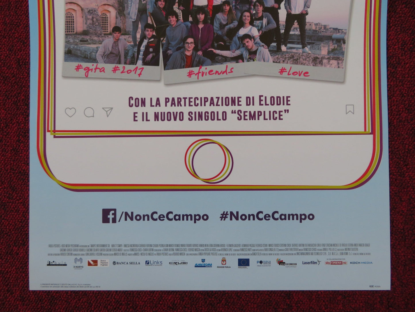 NON C'E CAMPO ITALIAN LOCANDINA POSTER VANESSA INCONTRADA GIAN M. TOGNAZZI 2017 Rendezvous Cinema Movie posters