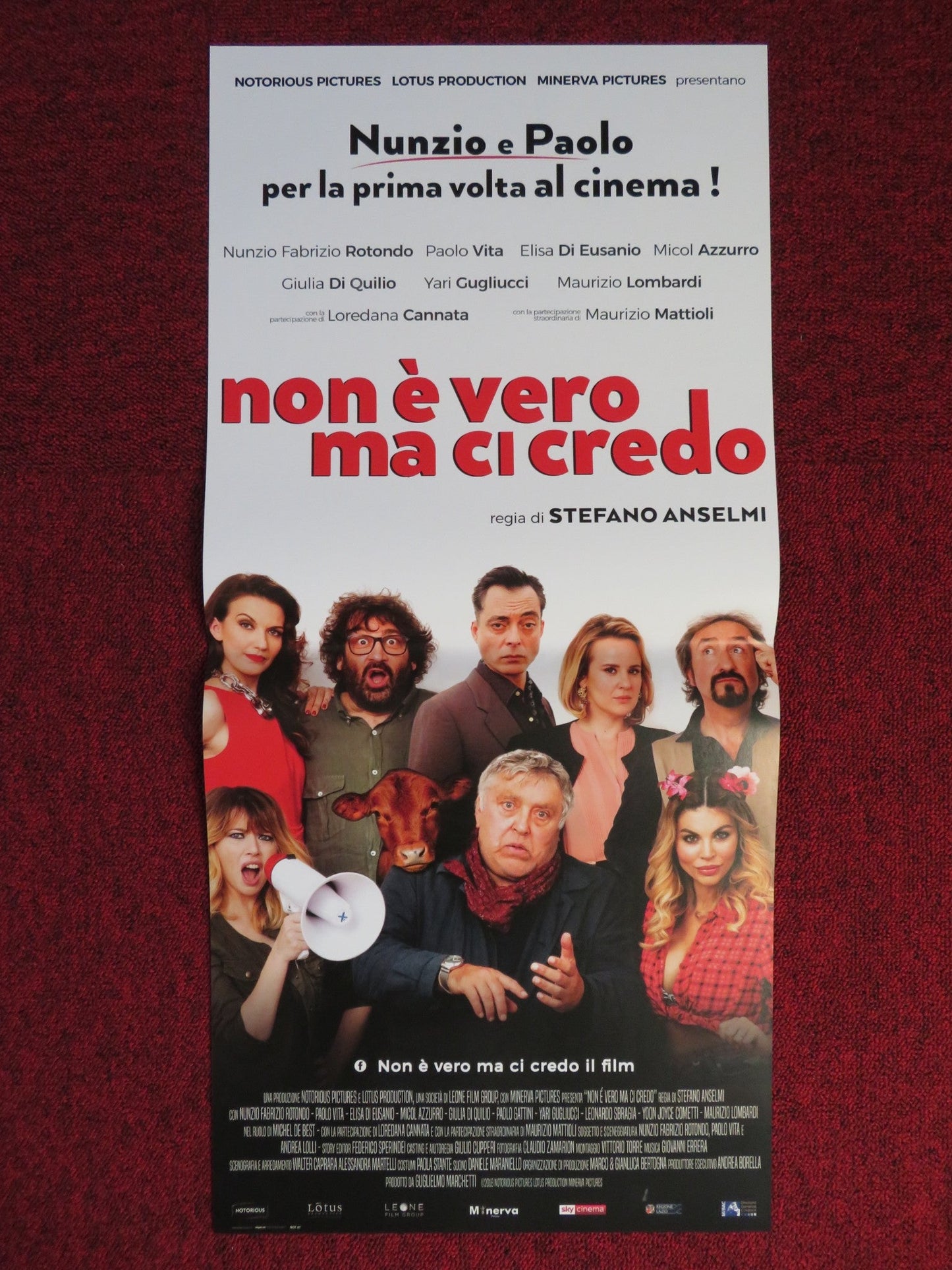 NON E VERO MA CI CREDO ITALIAN LOCANDINA POSTER ZUNZIO FABRIZO ROTONDO 2018 Rendezvous Cinema Movie posters