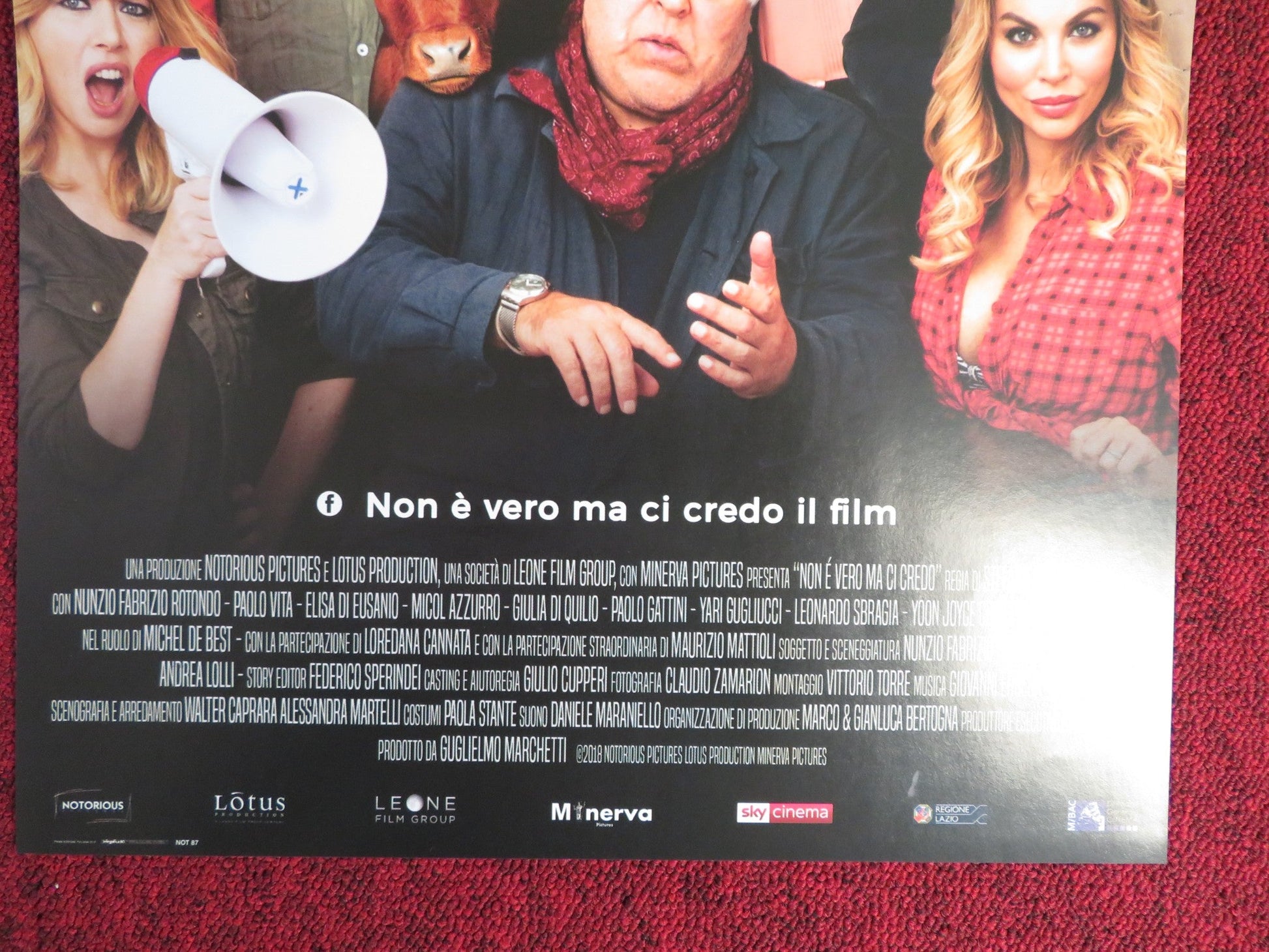 NON E VERO MA CI CREDO ITALIAN LOCANDINA POSTER ZUNZIO FABRIZO ROTONDO 2018 Rendezvous Cinema Movie posters