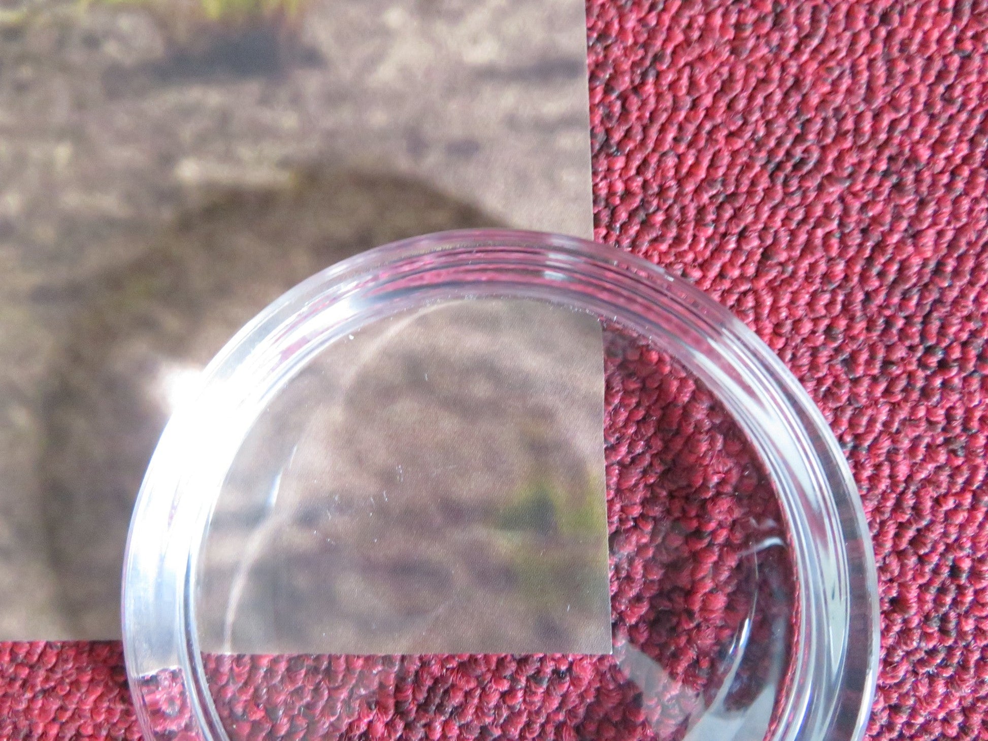 NORTH OF NORMAL US ONE SHEET ROLLED POSTER JAMES D'ARCY SARAH GADON 2022 Rendezvous Cinema Movie posters