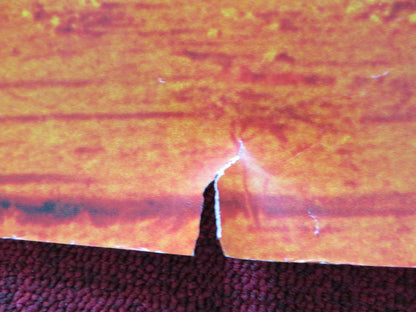 NOWHERE IN AFRICA UK QUAD (30"x 40") ROLLED POSTER JULIANE KOHLER 2001 Rendezvous Cinema Movie posters