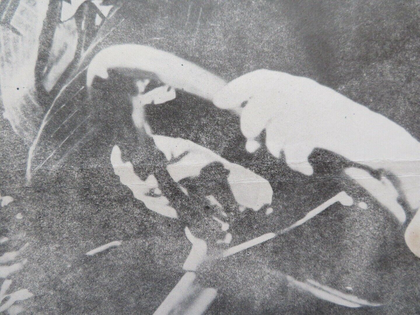 OBRACUN U PODZEMLIU / The Roaring Twenties YUGOSLAVIAN (16.5"x 22") POSTER 1939 Movie posters