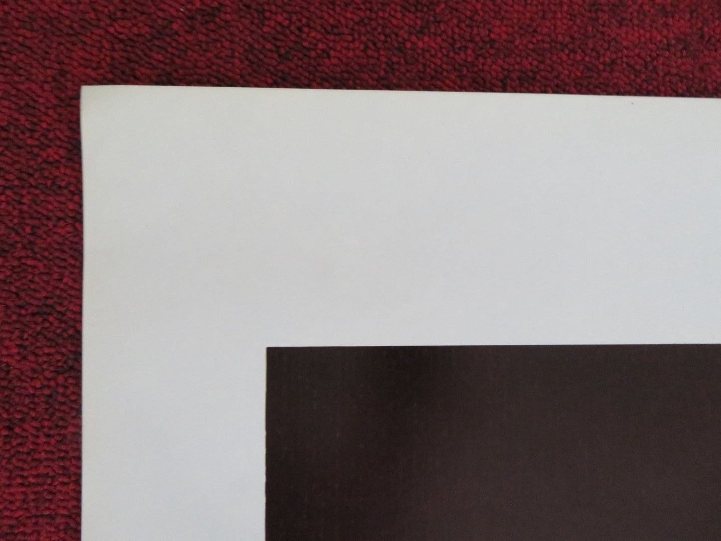 OCTAVIA US ONE SHEET ROLLED POSTER SUSAN CURTIS NEIL KINSELLA 1982 Rendezvous Cinema Movie posters