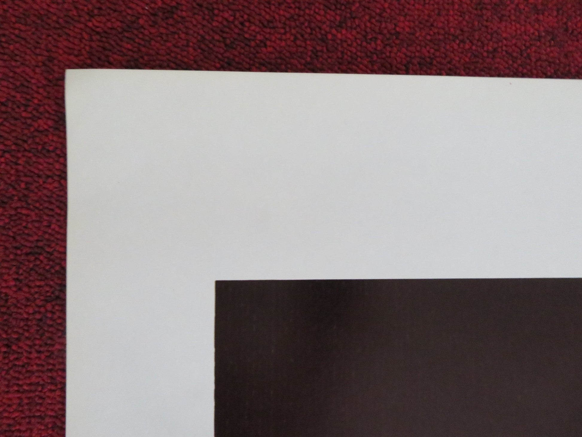 OCTAVIA US ONE SHEET ROLLED POSTER SUSAN CURTIS NEIL KINSELLA 1982 Rendezvous Cinema Movie posters