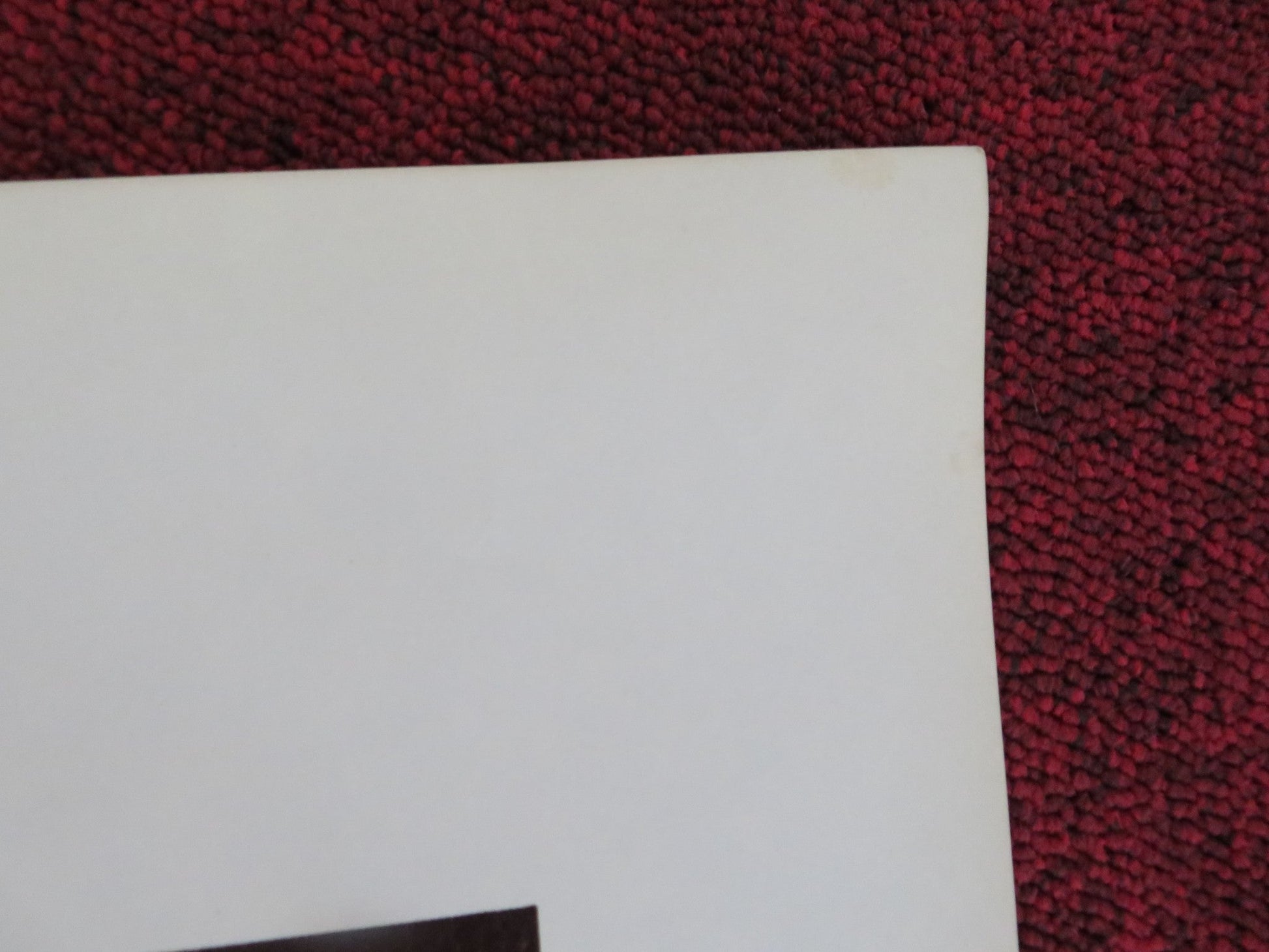 OCTAVIA US ONE SHEET ROLLED POSTER SUSAN CURTIS NEIL KINSELLA 1982 Rendezvous Cinema Movie posters