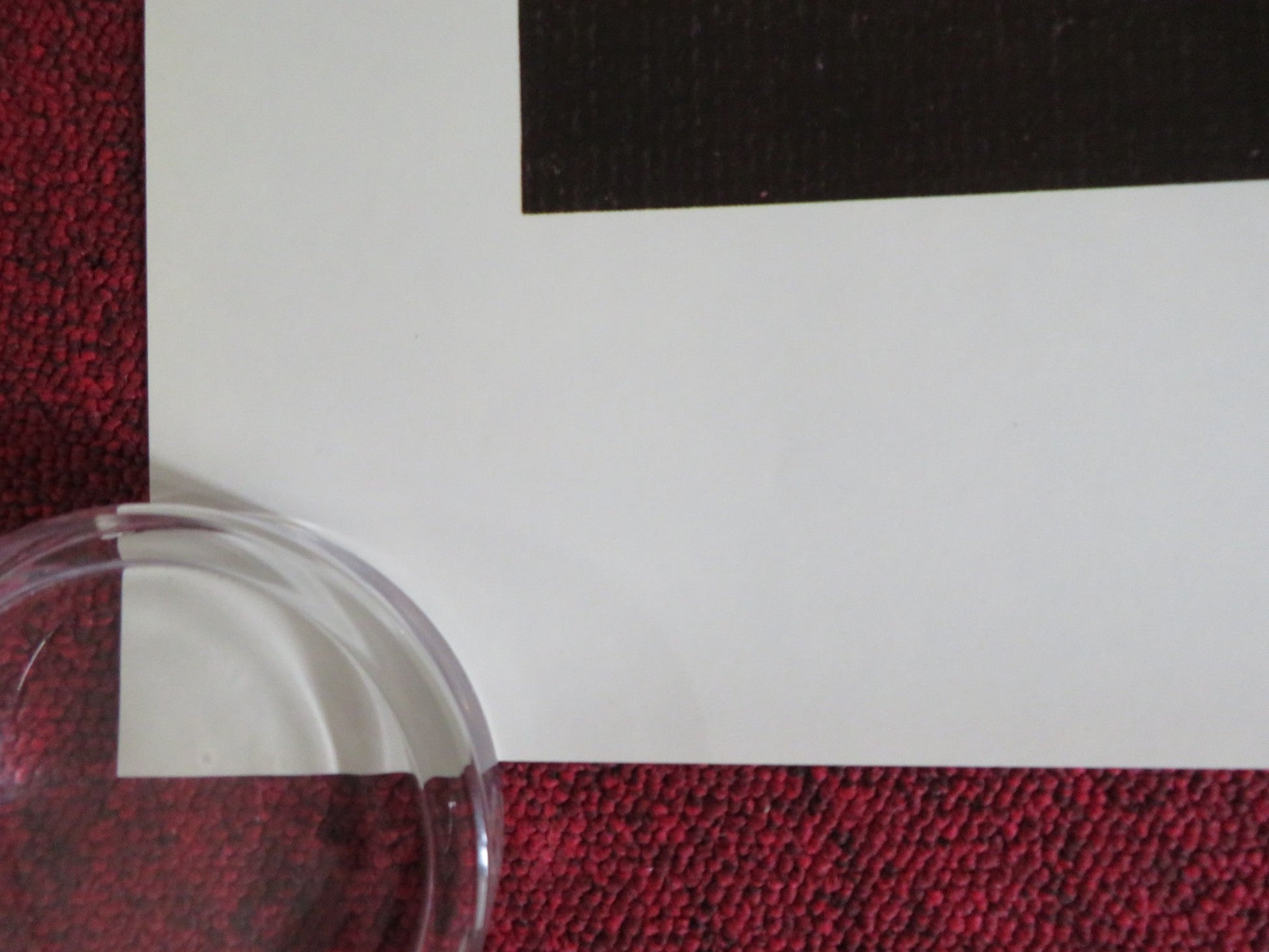 OCTAVIA US ONE SHEET ROLLED POSTER SUSAN CURTIS NEIL KINSELLA 1982 Rendezvous Cinema Movie posters