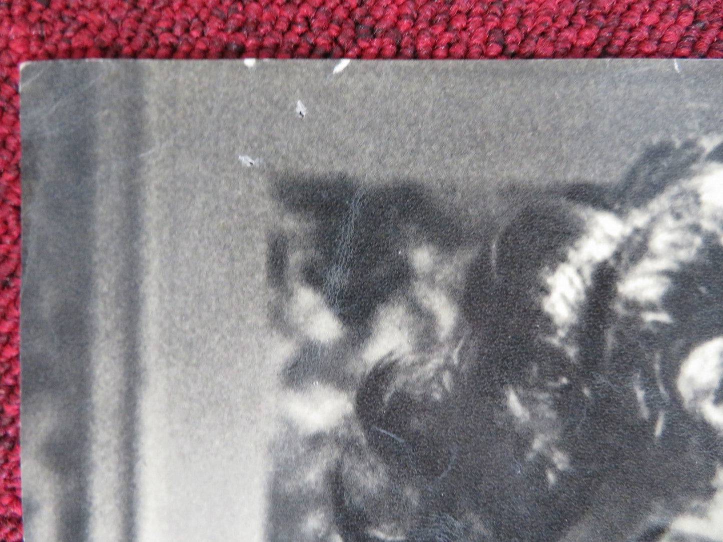 ODDS AGAINST TOMORROW ITALIAN FOTOBUSTA POSTER HARRY BELAFONTE ROBERT RYAN 1959 Rendezvous Cinema Movie posters