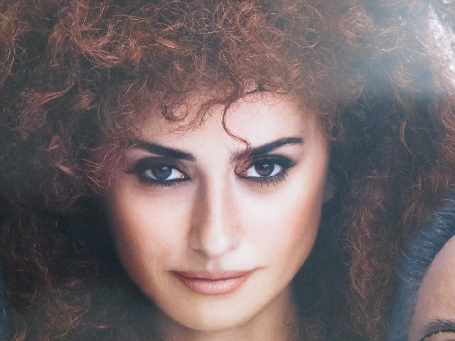 OFFICIAL COMPETITION US ONE SHEET ROLLED POSTER PENELOPE CRUZ A. BANDERAS 2021 Rendezvous Cinema Movie posters