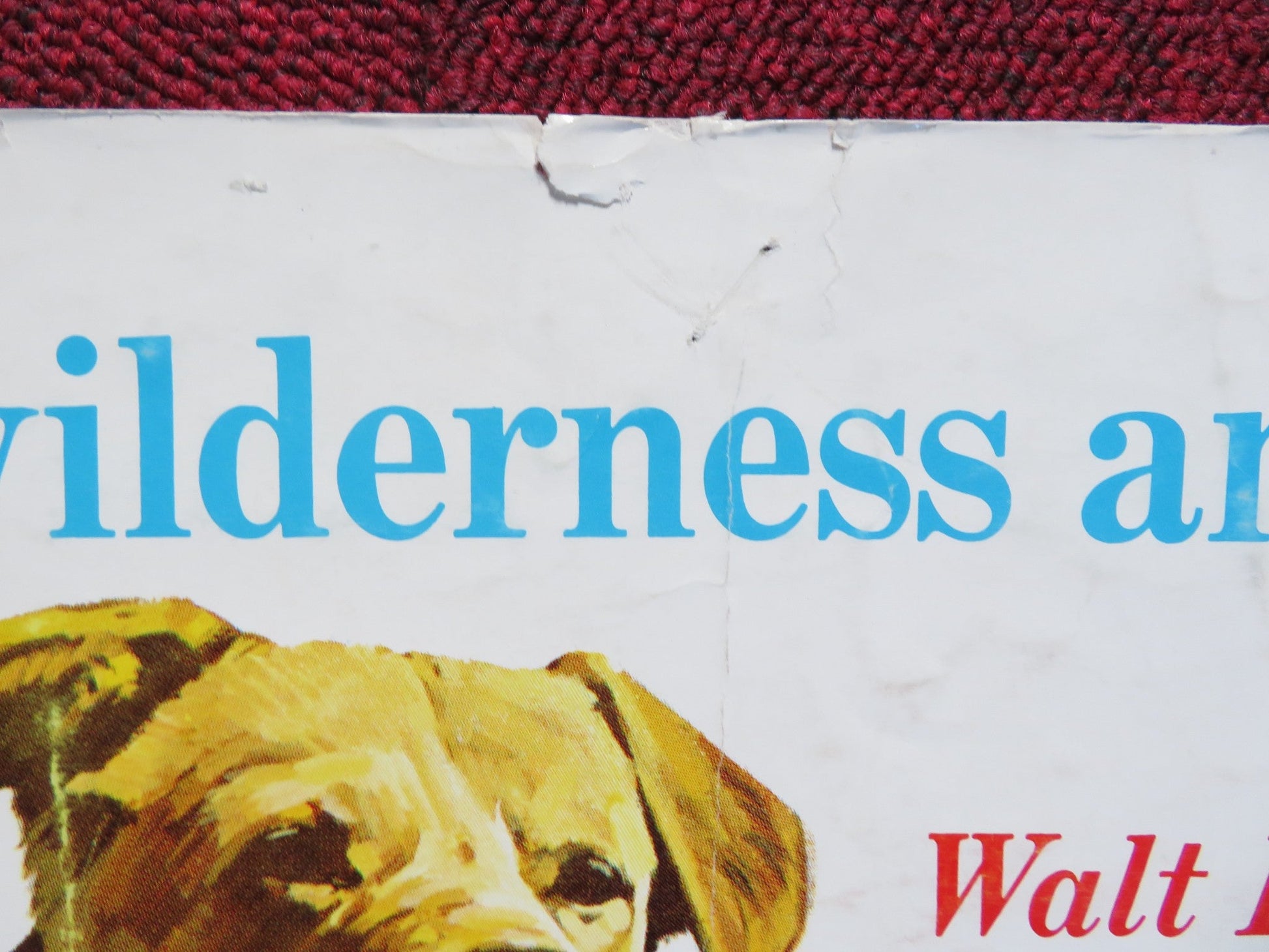 OLD YELLER US HALF SHEET (22"x 28") POSTER DISNEY DOROTHY MCGUIRE R1965 Rendezvous Cinema Movie posters