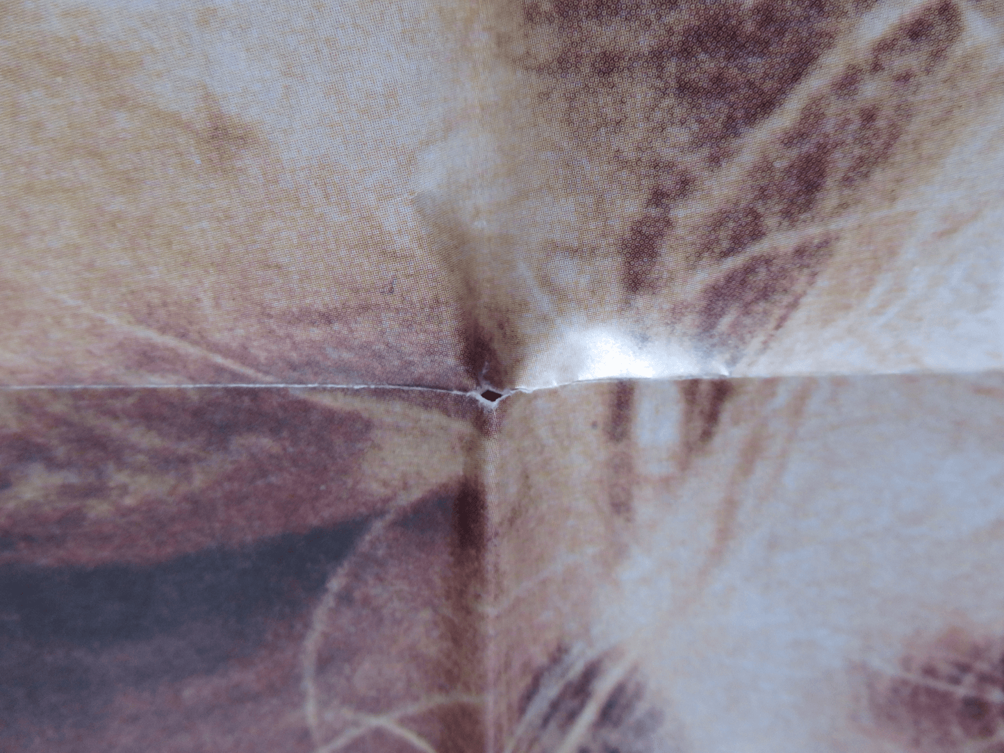 OLIVER'S STORY FOLDED US ONE SHEET POSTER RYAN O'NEAL CANDICE BERGEN 1978 Rendezvous Cinema Movie posters