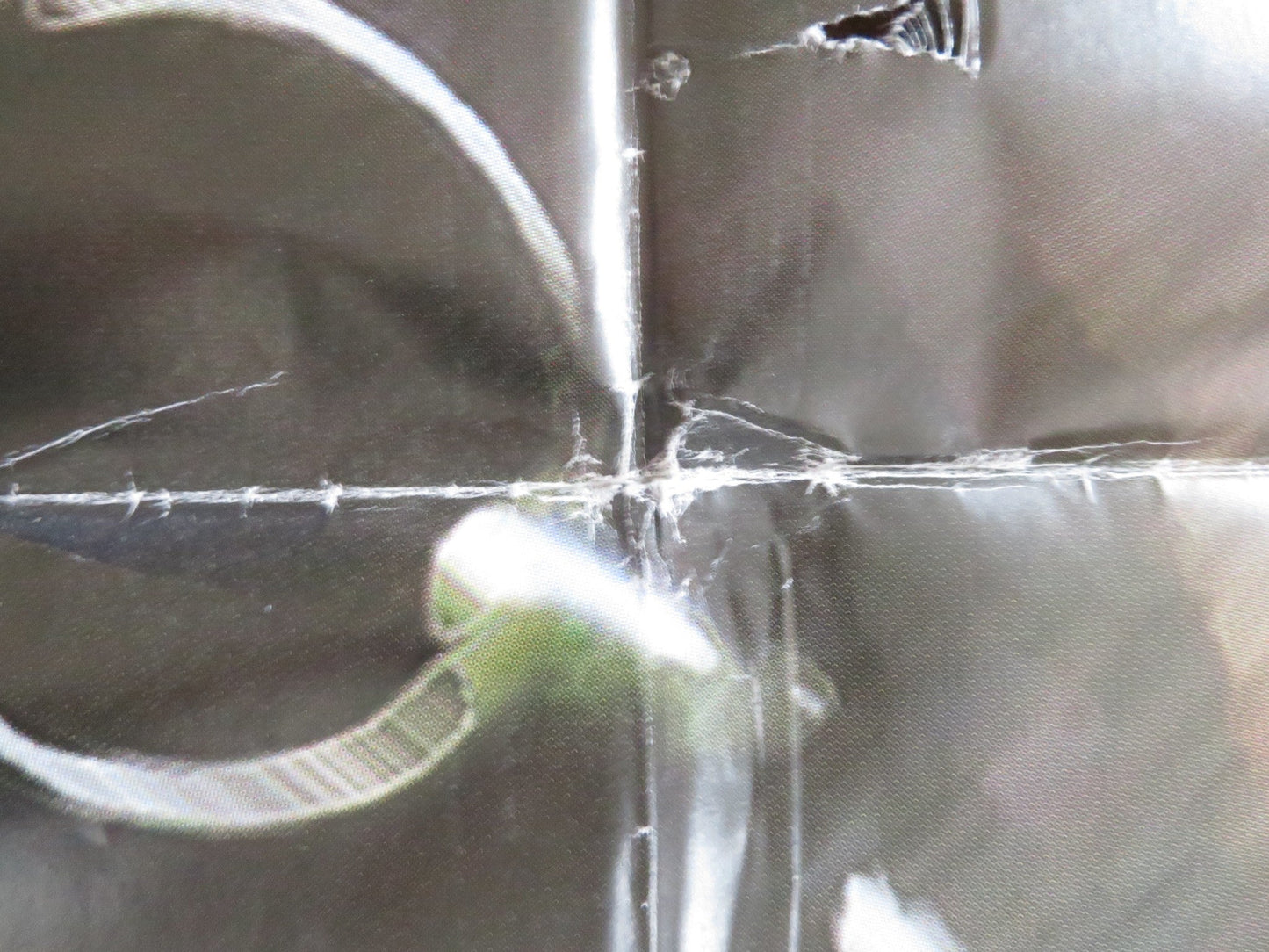 ONE LAST RIDE ITALIAN 2 FOGLIO POSTER ROBERT DAVI PATRICK CUPO 2004 Rendezvous Cinema Movie posters