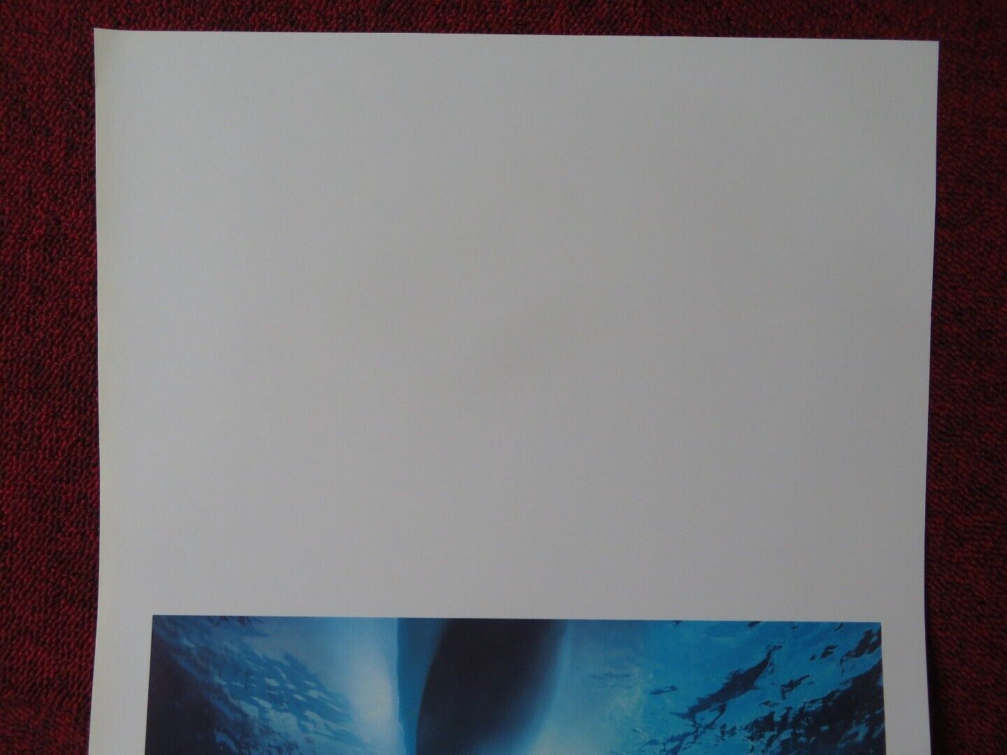 OPEN WATER 2: ADRIFT ITALIAN LOCANDINA (27.5"x13") POSTER SUSAN MAY PRATT 2006 - Rendezvous Cinema