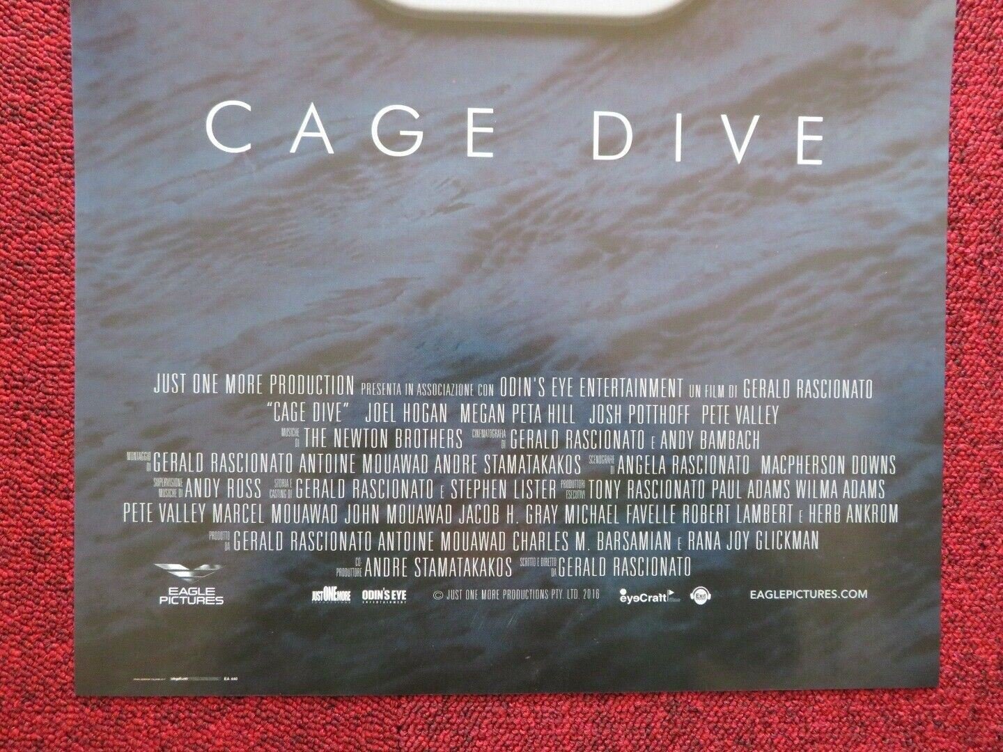 OPEN WATER 3 CAGE DIVE ITALIAN LOCANDINA (26.5"x12.5") POSTER JOEL HOGAN 2016 Movie posters