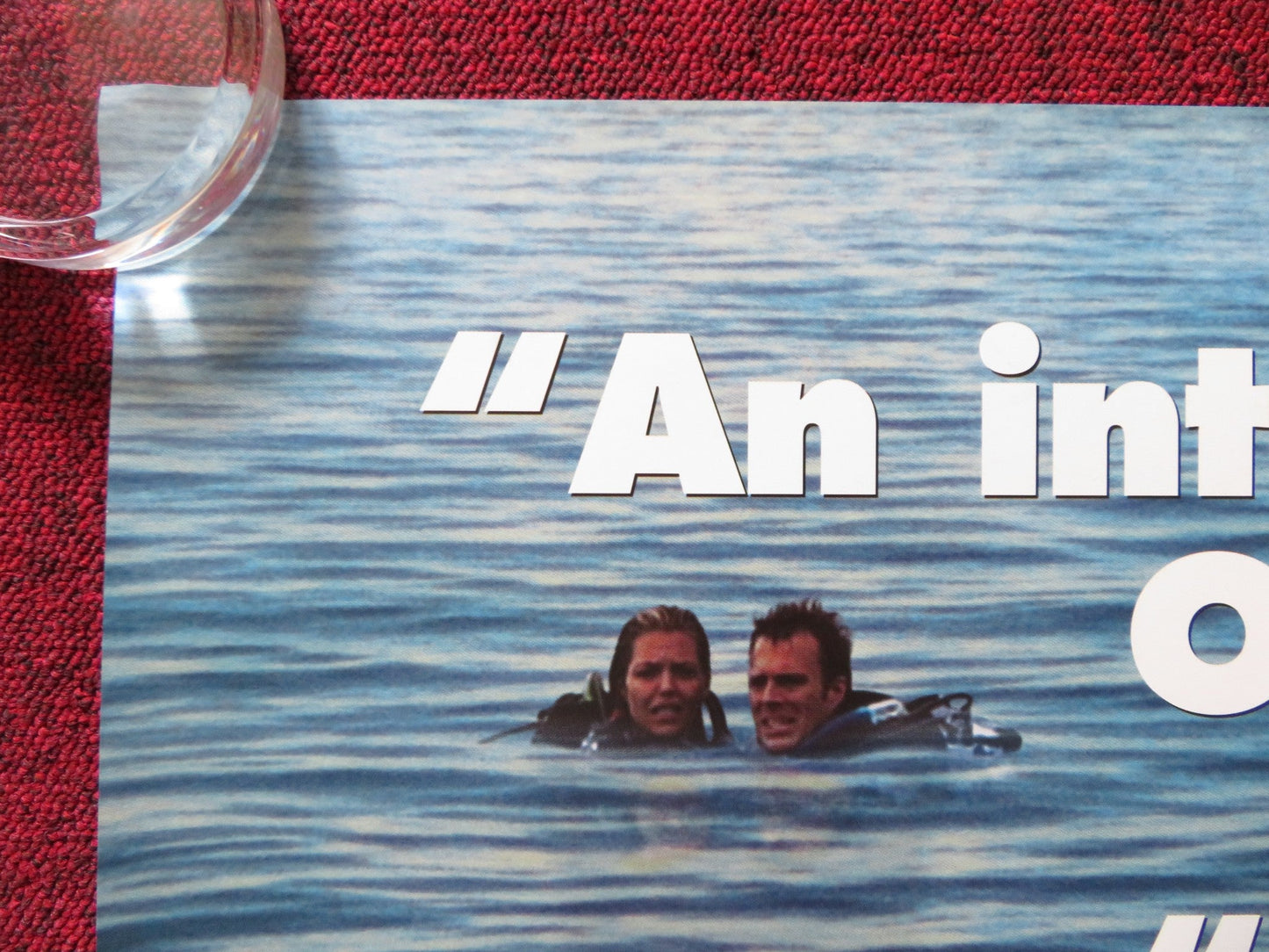 OPEN WATER UK QUAD (30"x 40") ROLLED POSTER BLANCHARD RYAN DANIEL TRAVIS 2003 Rendezvous Cinema Movie posters