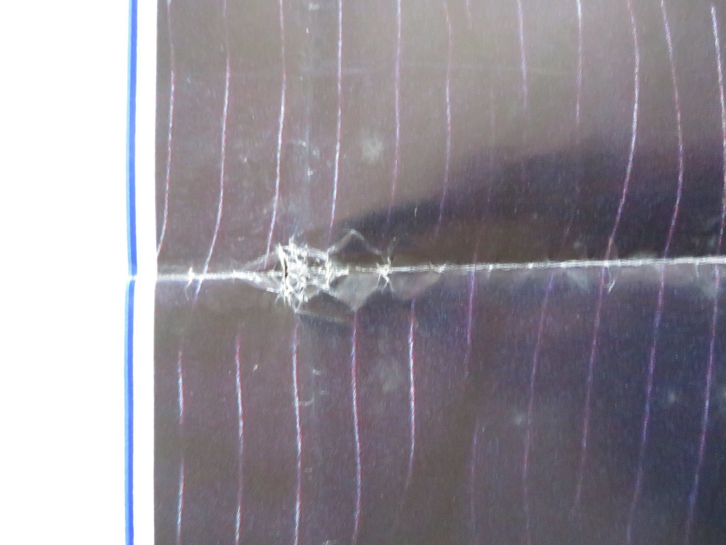 OSCAR ITALIAN FOGLIO POSTER SYLVESTER STALLONE PETER RIEGERT 1991 Rendezvous Cinema Movie posters