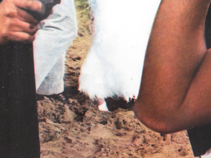 OSS 117 MURDER FOR SALE - A ITALIAN FOTOBUSTA POSTER DOUBLE AGENT GAVIN 1968 Rendezvous Cinema Movie posters