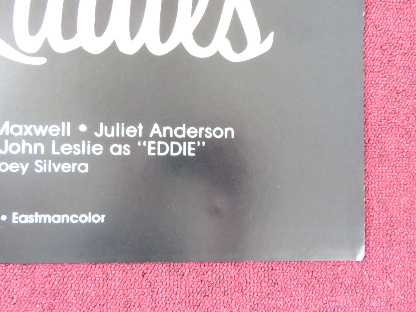 OUTLAW LADIES US TRI FOLDED ONE SHEET ROLLED POSTER VERONICA HART 1981 Rendezvous Cinema Movie posters