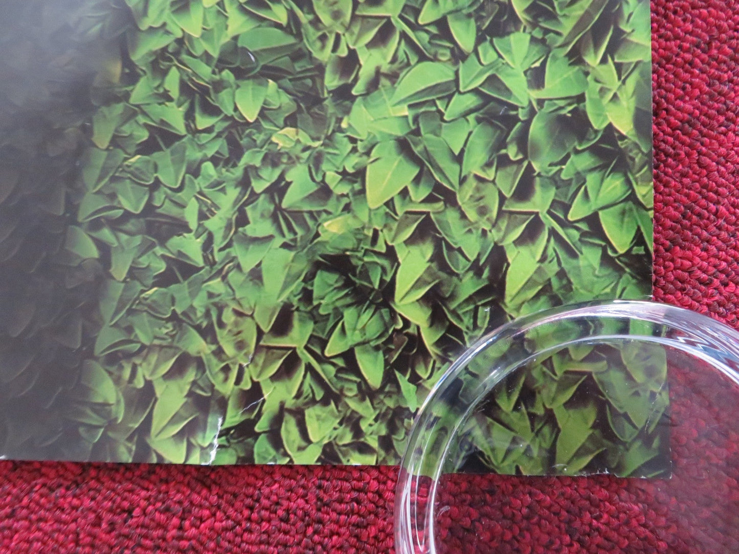 OVER THE HEDGE - A UK QUAD ROLLED POSTER BRUCE WILLIS STEVE CARELL 2006 Rendezvous Cinema Movie posters