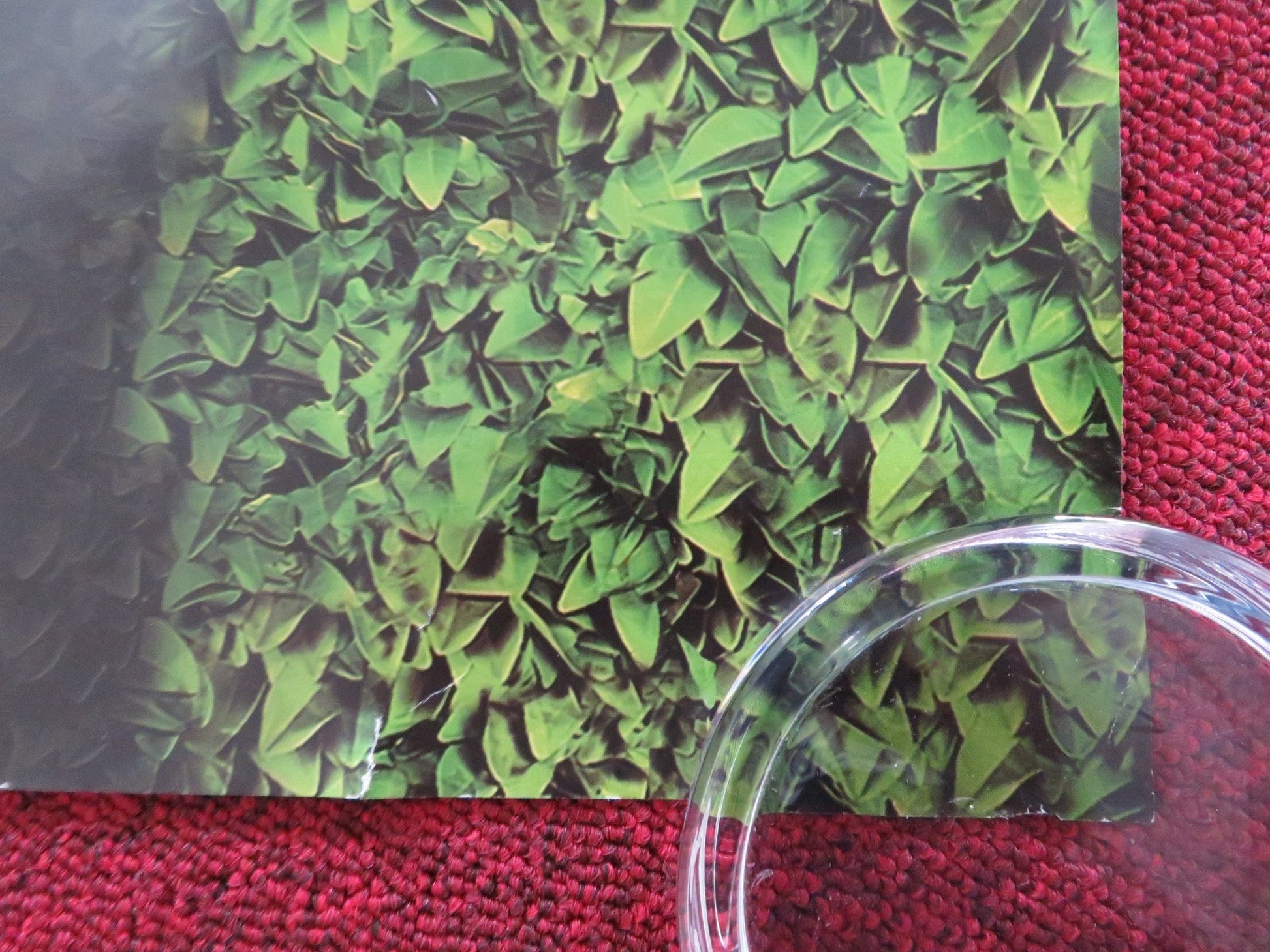 OVER THE HEDGE - A UK QUAD ROLLED POSTER BRUCE WILLIS STEVE CARELL 2006 Rendezvous Cinema Movie posters