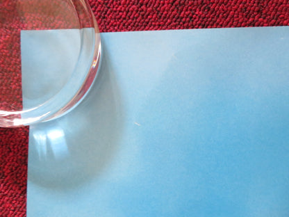 OVER THE HEDGE - A UK QUAD ROLLED POSTER BRUCE WILLIS STEVE CARELL 2006 Rendezvous Cinema Movie posters