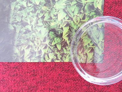 OVER THE HEDGE UK QUAD (30"x 40") ROLLED POSTER BRUCE WILLIS STEVE CARELL 2006 Rendezvous Cinema Movie posters