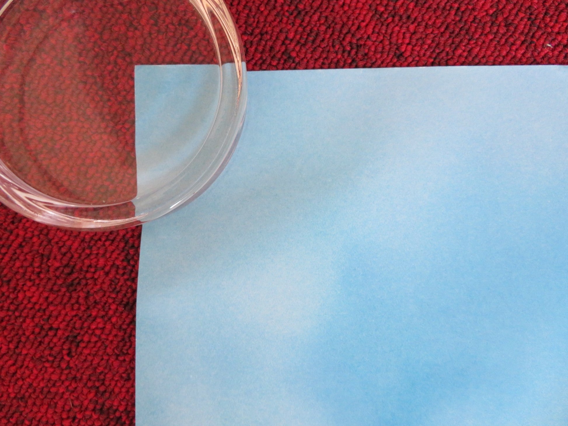 OVER THE HEDGE UK QUAD (30"x 40") ROLLED POSTER BRUCE WILLIS STEVE CARELL 2006 Rendezvous Cinema Movie posters