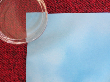 OVER THE HEDGE UK QUAD (30"x 40") ROLLED POSTER BRUCE WILLIS STEVE CARELL 2006 Rendezvous Cinema Movie posters