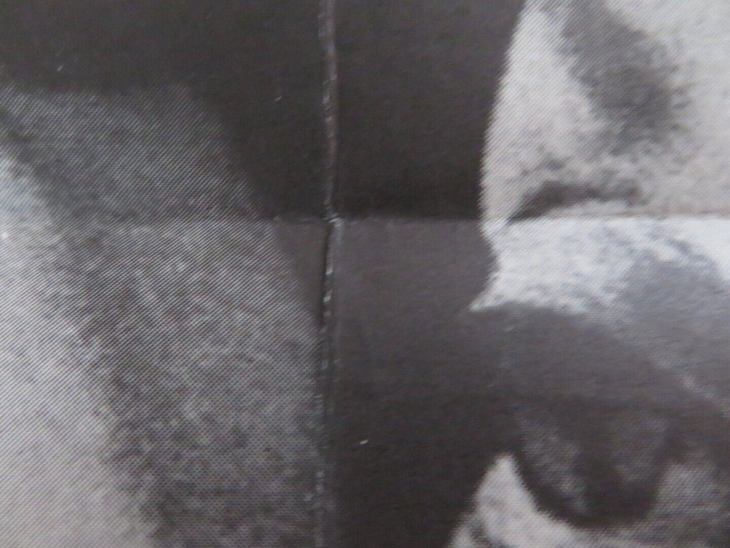 PAARE GERMAN POSTER (33"x 23.5") LILLI PALMER PAUL VERHOEVEN 1967 Movie posters