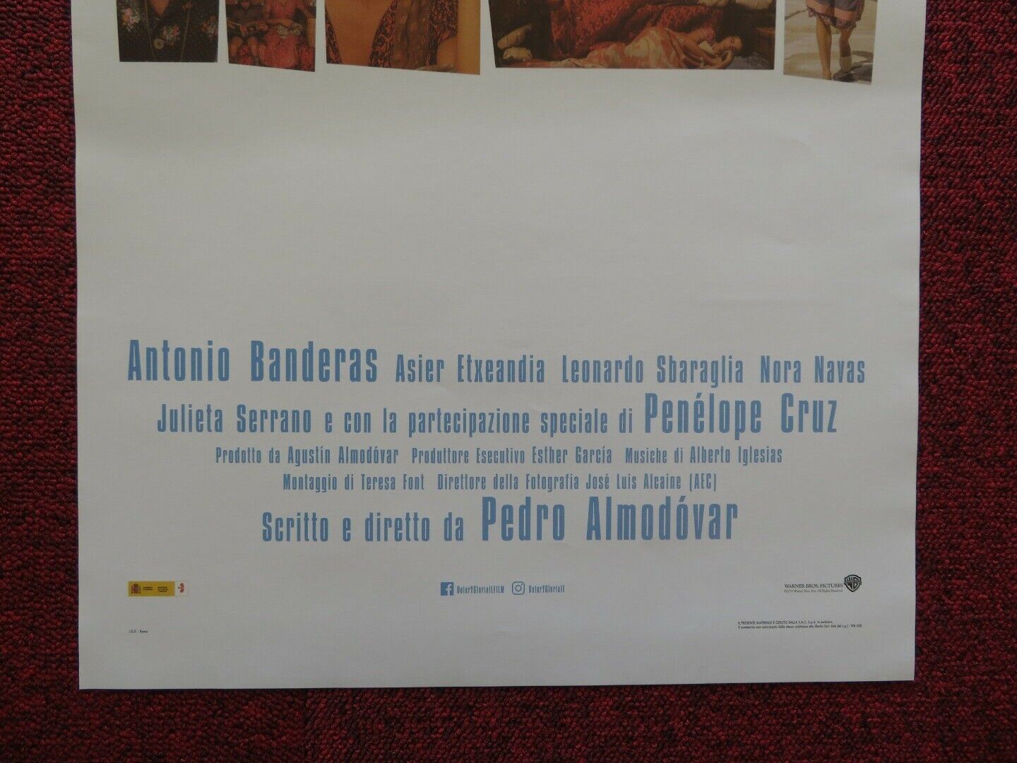 PAIN AND GLORY ITALIAN LOCANDINA (27.5"x13") POSTER 2019 ANTONIO BANDERAS - Rendezvous Cinema