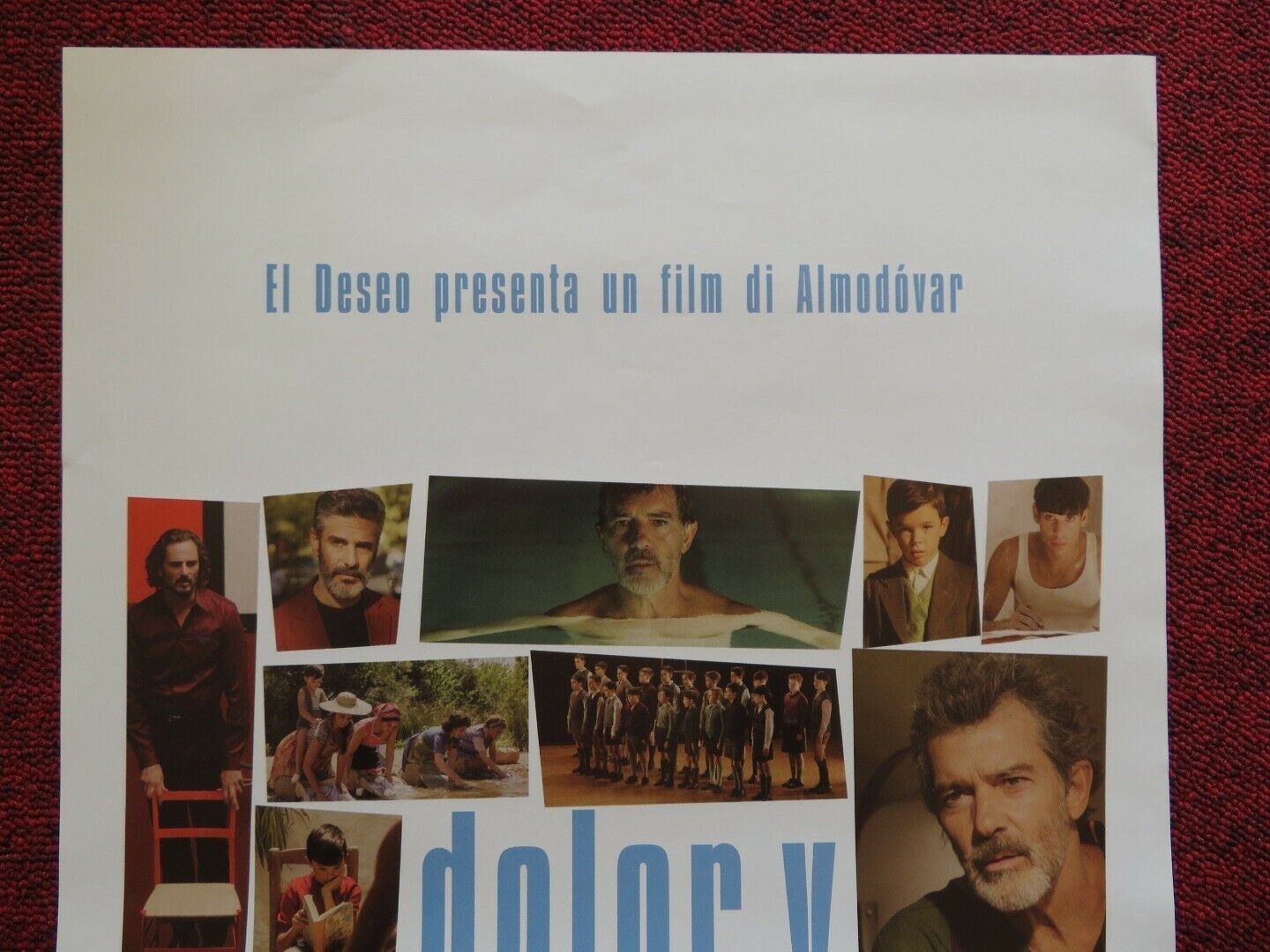 PAIN AND GLORY ITALIAN LOCANDINA (27.5"x13") POSTER 2019 ANTONIO BANDERAS - Rendezvous Cinema