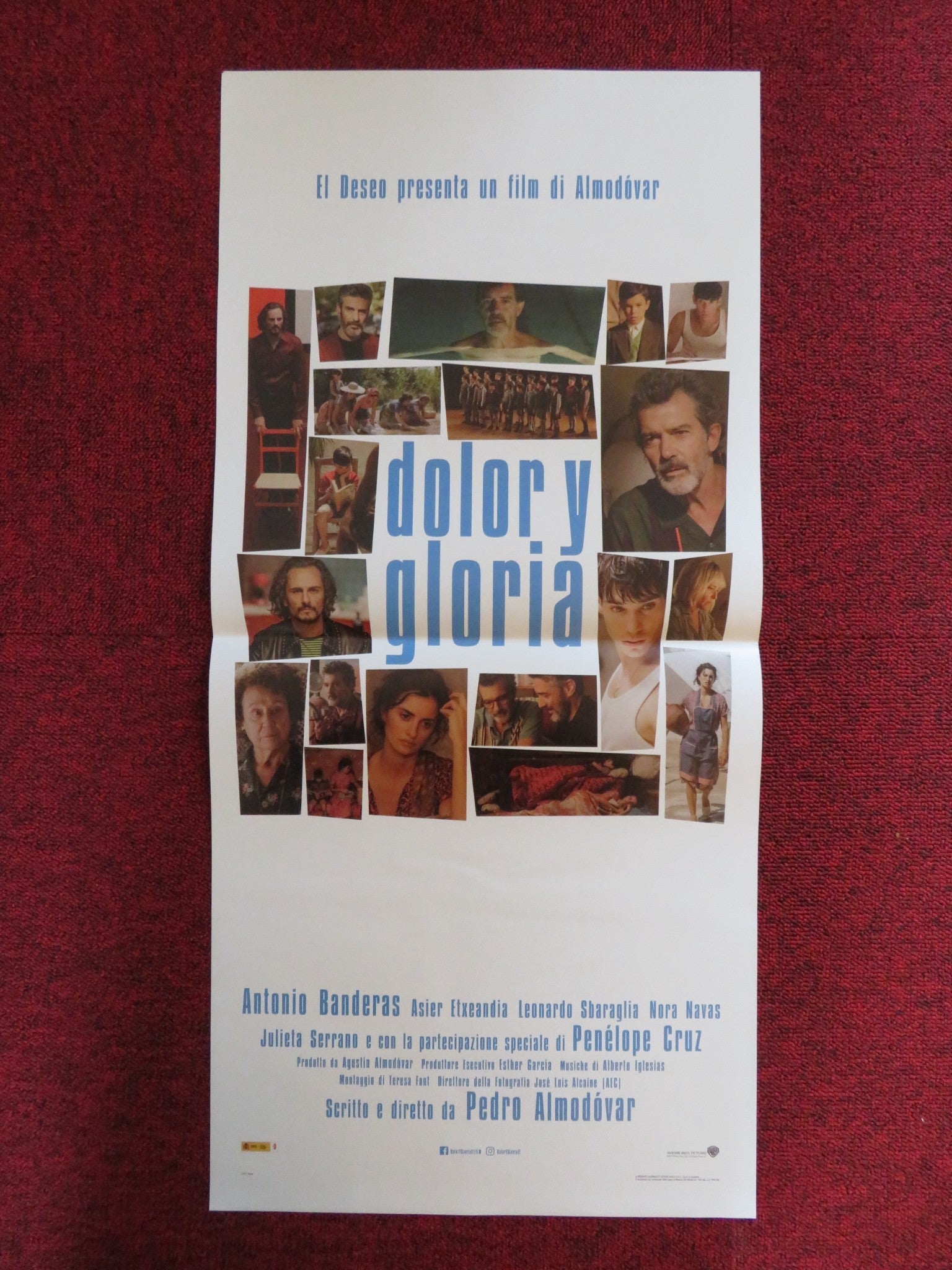 PAIN AND GLORY ITALIAN LOCANDINA POSTER ANTONIO BANDERAS NORA NAVAS 2019 Rendezvous Cinema Movie posters