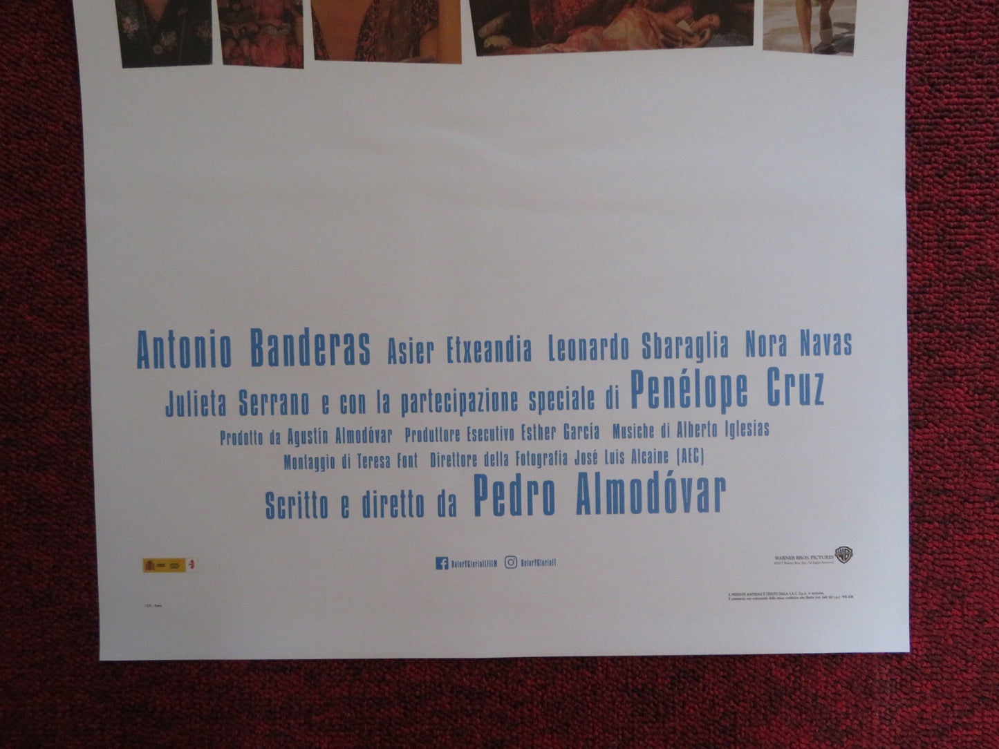 PAIN AND GLORY ITALIAN LOCANDINA POSTER ANTONIO BANDERAS NORA NAVAS 2019 Rendezvous Cinema Movie posters