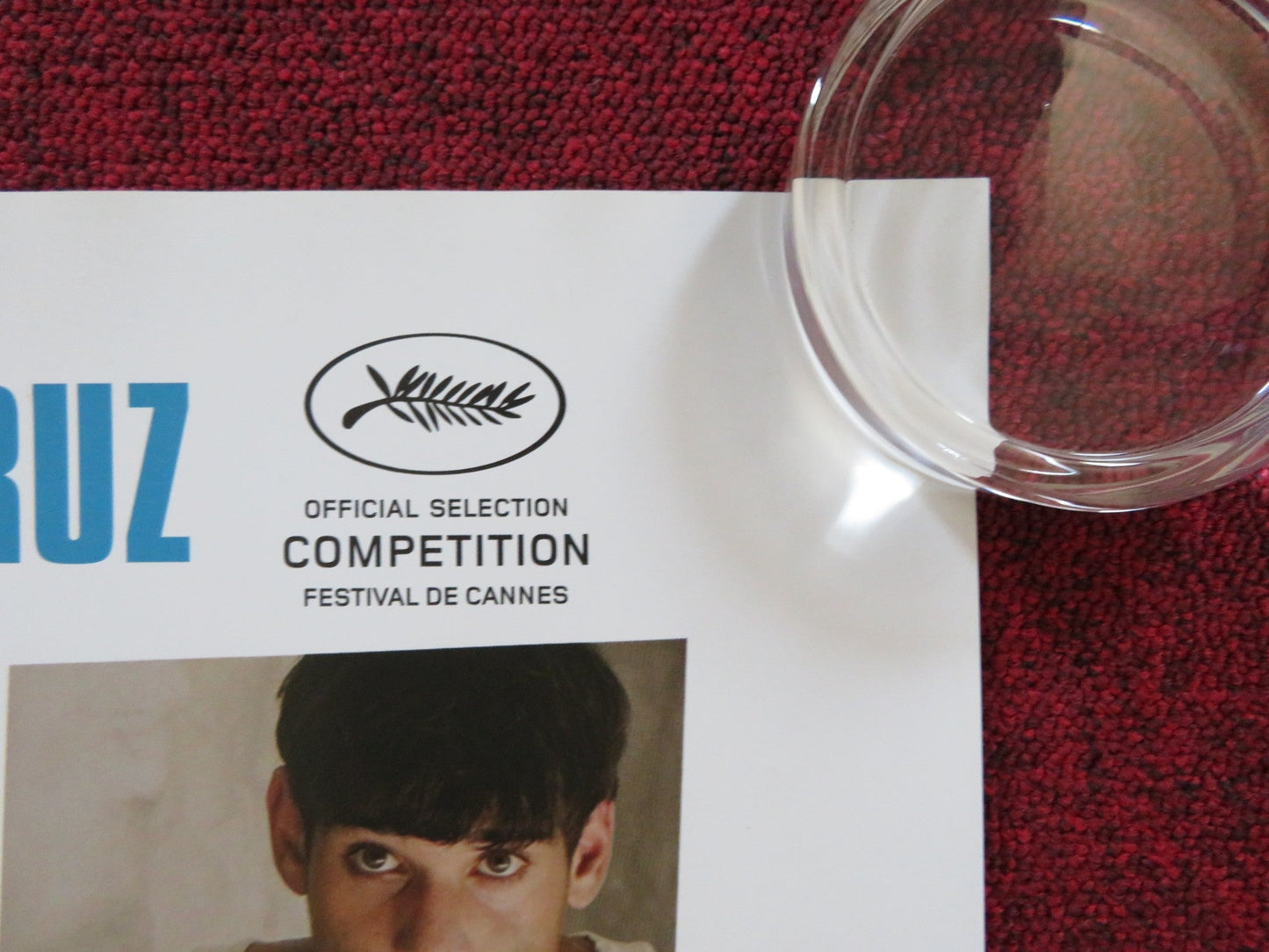 PAIN & GLORY UK QUAD (30"x 40") ROLLED POSTER ANTONIO BANDERAS 2019 Rendezvous Cinema Movie posters