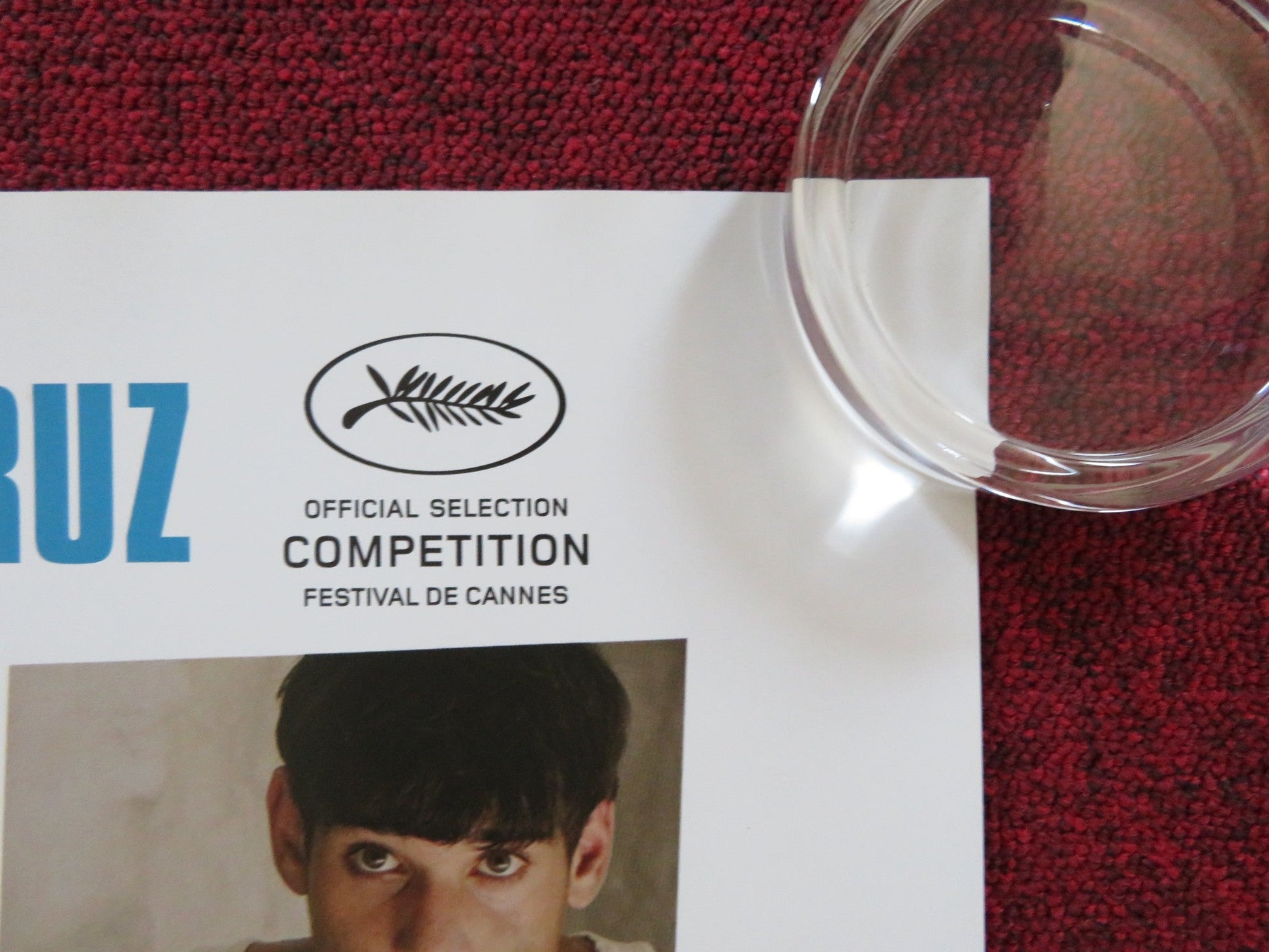 PAIN & GLORY UK QUAD (30"x 40") ROLLED POSTER ANTONIO BANDERAS 2019 Rendezvous Cinema Movie posters