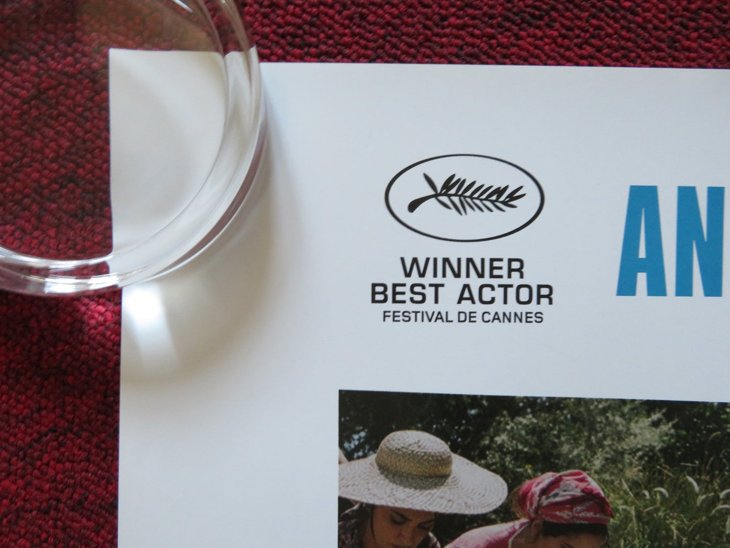 PAIN & GLORY UK QUAD (30"x 40") ROLLED POSTER ANTONIO BANDERAS 2019 Rendezvous Cinema Movie posters