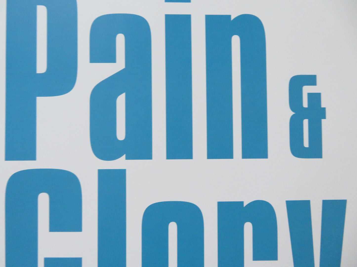 PAIN & GLORY UK QUAD (30"x 40") ROLLED POSTER ANTONIO BANDERAS 2019 Rendezvous Cinema Movie posters